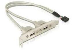 Delock Slot bracket 2 x USB 2.0 type A female external (71000) - pcland