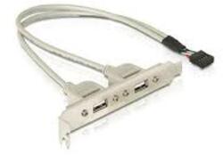Delock Slot bracket 2 x USB 2.0 type A female external (71000)