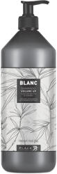 Black Professional Line - Blanc Volume Up - Volumenizáló Sampon Bambusz Kivonattal 1000ml