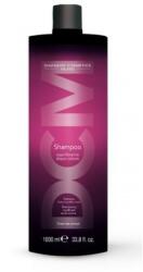 Diapason DCM DCM Színrögzítő Sampon 1000 ml