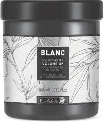 Black Professional Line - Blanc Volume Up - Volumenizáló Hajmaszk Bambusz Kivonattal 1000ml