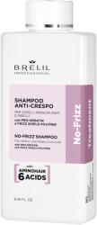 Brelil Professional - Amino Treatment - No Frizz Shampoo 250ml