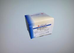 HS CRP-Check-1 gyorsteszt (Reader Plus) VedaLAB (20 db) (SUN979)