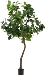 Kave Home Művirág Kave Home Ficus 210 cm (LF-D1700019SS06)