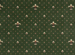 Delta Carpet Mocheta Lotos 578-310, Verde , Latime 400 cm, Diverse Lungimi (578-310-48)