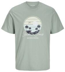 JACK & JONES Palm , Verde , L
