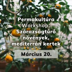  Permakultúra Workshop - Szárazságtűrõ növények, mediterrán kertek 2025. 03. 20