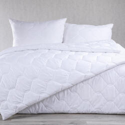 STANEX Set matlasat cu pilotă 140 x 200 cm şi pernă 70 x 90 cm cu Aloe Vera