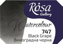 Rosa 343747 Vopsea acuarela 747 Black Grape 2, 5 ml 1 buc (343747)