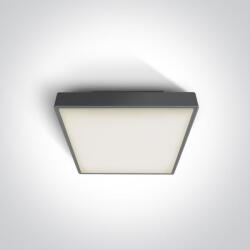 ONE Light Miladeza kültéri mennyezet 1x12 W antracit 67282E/AN