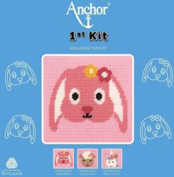 Anchor 3690000-20027 Set de broderie (<![CDATA[3690000-20027]]>)