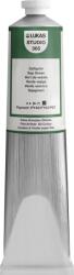 Lukas Studio Aluminium Tube Vopsea cu ulei Sap Green 200 ml 1 buc (<![CDATA[703650014]]>)