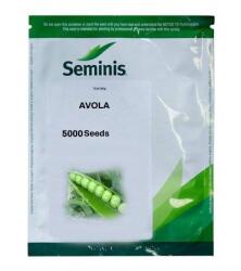 Bayer Seminte Mazare AVOLA F1 Seminis - 5.000 seminte (PR-102801)