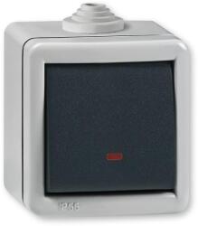 ALING-CONEL Aling-Conel ARMOR - 107 keresztváltó kapcsoló, jelzőfényes, 10A 250V, IP55, IK07, FÉM házban, szürke/antracit (2841.1A) (2841.1A)