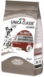  Gheda Unica Classe Adult Large Equilibrium 12kg