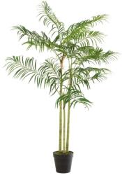 J-line Művirág J-Line Maryath Bamboo Palm 170 cm (J-12524)