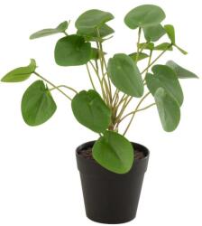 J-line Művirág J-Line Maryath Pilea 28, 5 cm művirág (J-12526)
