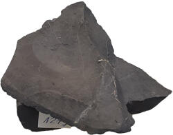 Shungite Piatra mare vindecatoare Shungite 120g-129g, ecranare impotriva radiatiilor si protectie electromagnetica (PMSh120G)