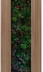As Creation Fototapet riflaj Plante exotice