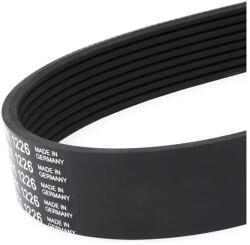 Continental Ctam Curea transmisie cu caneluri CONTINENTAL CTAM 8PK1226 (8PK1226)