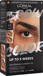 L'Oréal L'ORÉAL PARIS Brow Color 1.0 Black
