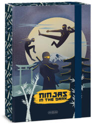 Ars Una Ninjas in the dark gumis füzetbox A/4 (50854578)