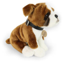 Rappa Plüss boxer 27 cm-es (211902)