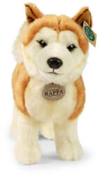 Rappa Plüss Akita Inu kutya 30 cm-es (240353)