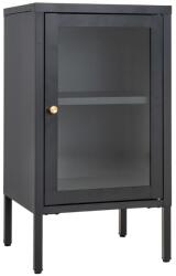 Nordic Living Fekete fém vitrin Dobby 70 x 38 cm (3001046)