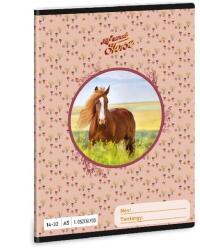 Ars Una Füzet vonalas ARS UNA A/5 32 lapos 14-32 1. osztályos My Sweet Horse (53583581) - robbitairodaszer