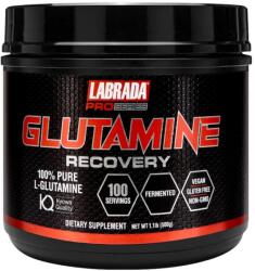 Labrada Glutamine Recovery | Kyowa Quality [500 грама] Неовкусен