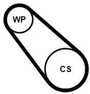 Continental Ctam Pompa apa + Set curea transmisie cu caneluri CONTINENTAL CTAM 3PK725 ELAST WP1 (3PK725 ELAST WP1)