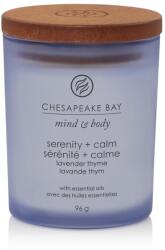 Chesapeake Bay serenity + calm (lavender thyme) kis üveggyertya 96 g
