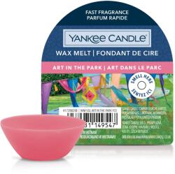 Yankee Candle Yankee Candle® Art in the Park mini viasz 22 g