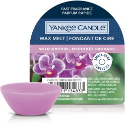 Yankee Candle Yankee Candle® Wild Orchid mini viasz 22 g