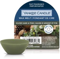 Yankee Candle Yankee Candle® Silver Sage & Pine mini viasz 22 g