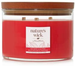 Nature's Wick Redberry & Nutmeg nagy üveggyertya 433 g