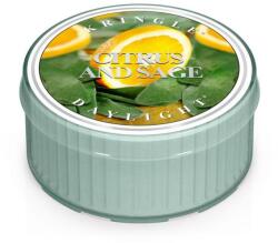 Kringle Candle Citrus and Sage mintagyertya 35 g