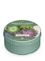 Kringle Candle Kringle Candle® Succulents mintagyertya 42 g