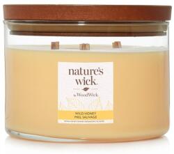 Nature's Wick Wild Honey nagy üveggyertya 433 g