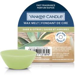 Yankee Candle Yankee Candle® Sage & Citrus mini viasz 22 g