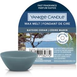 Yankee Candle Bayside Cedar mini viasz 22 g