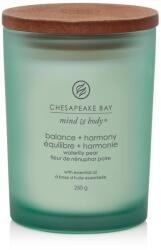 Chesapeake Bay balance + harmony (waterlily pear) közepes üveggyertya 250 g