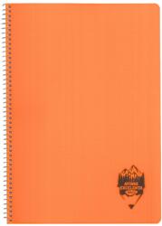 DACO Caiet A4 cu spira si coperta plastic Daco CT496AR, 96 file, 70 g/mp, Matematica, Portocaliu (CT496AR/PORTOCALIU)