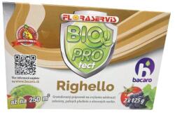 Floraservis Righello