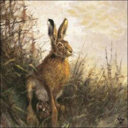 Ambiente Portrait Of Hare papírszalvéta 33x33cm, 20db-os