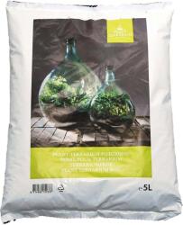 Esschert Design Plant Terrarium föld - 1 db