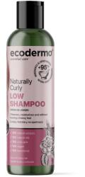 Ecoderma Sampon pentru bucle naturale, 250ml, Ecoderma
