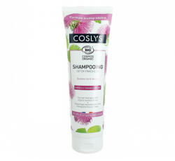 Coslys Sampon bio de ingrijire pentru par gras cu extract de jujube si brusture, 250ml, Coslys