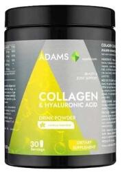 Adams Vision Collagen si HA pulbere instant cu aroma de vanilie, 600g, Adams Vision